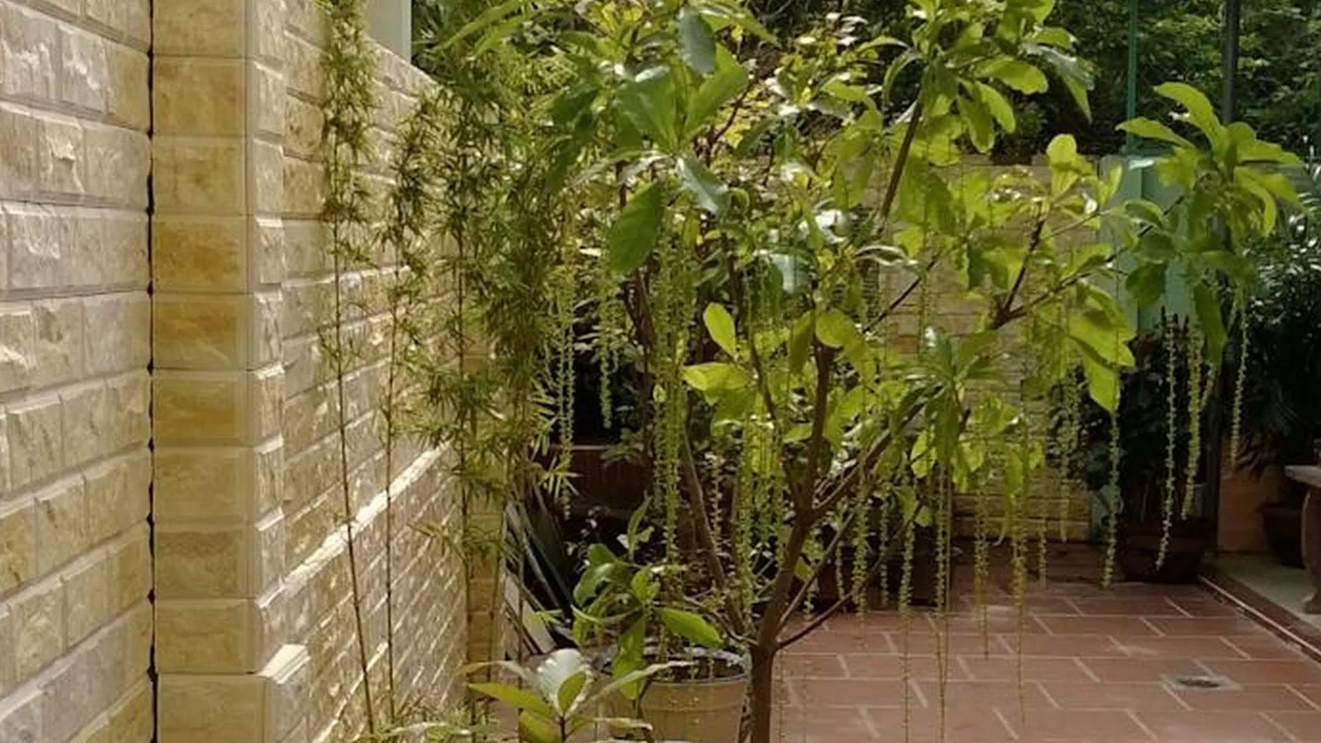 Hi Hop Yen Homestay Hoi An